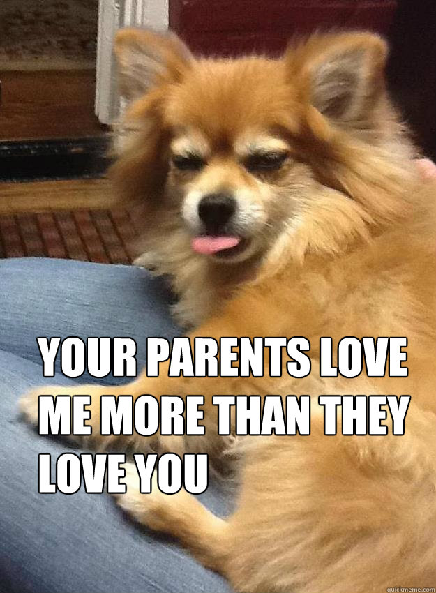 your parents love me more than they love you - your parents love me more than they love you  Immaturity Pup