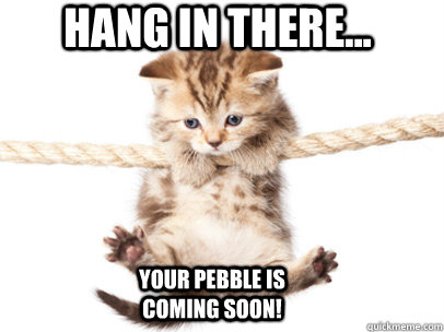 Hang in there... Your Pebble is coming soon!  Hang in there Pebble