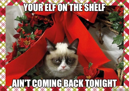 Your Elf on the Shelf Ain't coming back tonight - Your Elf on the Shelf Ain't coming back tonight  A Grumpy Cat Christmas