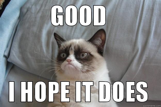 GOOD I HOPE IT DOES Grumpy Cat