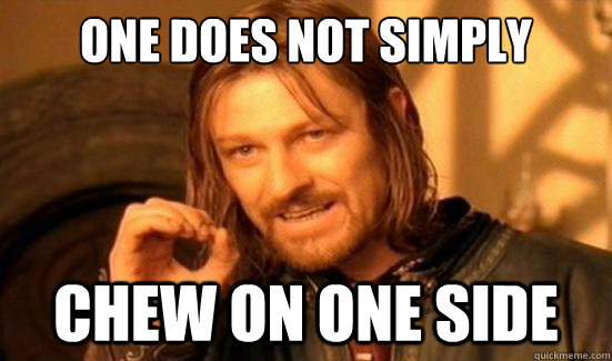 One Does Not Simply chew on one side  Boromir