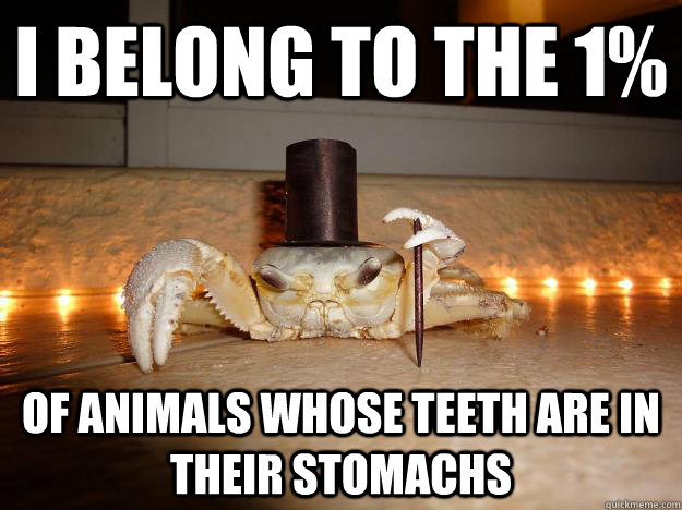 I belong to the 1% Of Animals Whose Teeth are in their stomachs - I belong to the 1% Of Animals Whose Teeth are in their stomachs  Misc