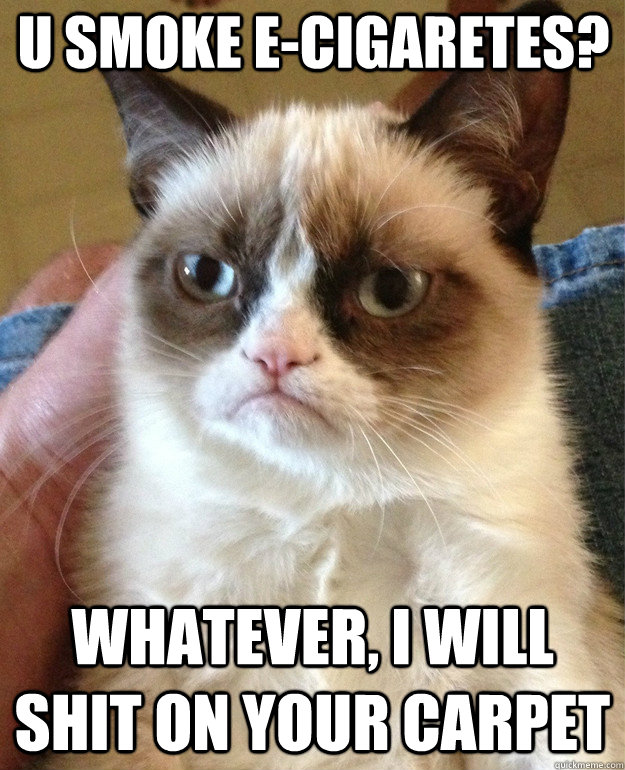 u smoke e-cigaretes? whatever, i will shit on your carpet  Grumpy Cat