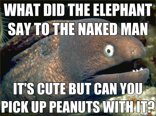 WHAT DID THE ELEPHANT SAY TO THE NAKED MAN IT'S CUTE BUT CAN YOU PICK UP PEANUTS WITH IT? - WHAT DID THE ELEPHANT SAY TO THE NAKED MAN IT'S CUTE BUT CAN YOU PICK UP PEANUTS WITH IT?  Bad Joke Eel