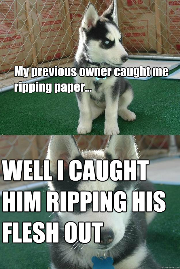 My previous owner caught me ripping paper... WELL I CAUGHT HIM RIPPING HIS FLESH OUT  Insanity puppy