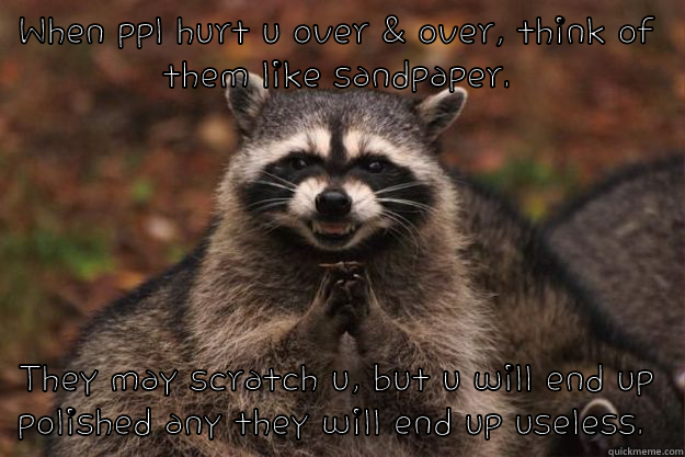 WHEN PPL HURT U OVER & OVER, THINK OF THEM LIKE SANDPAPER. THEY MAY SCRATCH U, BUT U WILL END UP POLISHED ANY THEY WILL END UP USELESS.  Evil Plotting Raccoon