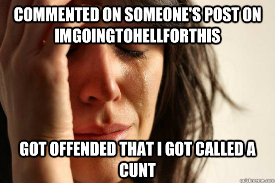 commented on someone's post on imgoingtohellforthis got offended that i got called a cunt  First World Problems