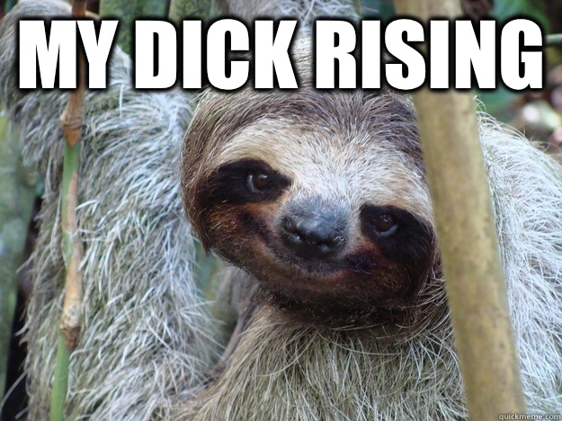 My Dick Rising   - My Dick Rising    Pickup-Line-Sloth