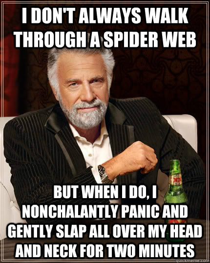 I don't always walk through a spider web but when I do, i nonchalantly panic and gently slap all over my head and neck for two minutes - I don't always walk through a spider web but when I do, i nonchalantly panic and gently slap all over my head and neck for two minutes  The Most Interesting Man In The World