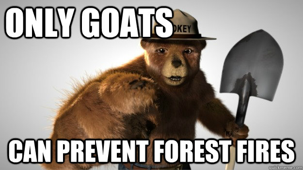 Only goats Can prevent forest fires - Only goats Can prevent forest fires  smoky