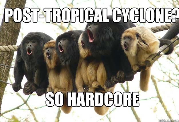 Post-Tropical Cyclone?



SO Hardcore - Post-Tropical Cyclone?



SO Hardcore  So Hardcore Monkeys