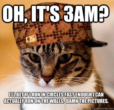 Oh, it's 3am? I'll bet if I run in circles fast enough I can actually run on the walls.  Damn the pictures.  Scumbag Cat
