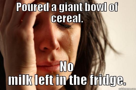POURED A GIANT BOWL OF CEREAL. NO MILK LEFT IN THE FRIDGE. First World Problems