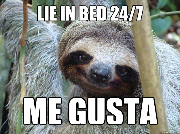 Lie in bed 24/7 ME GUSTA - Lie in bed 24/7 ME GUSTA  Foul Bachelor Sloth