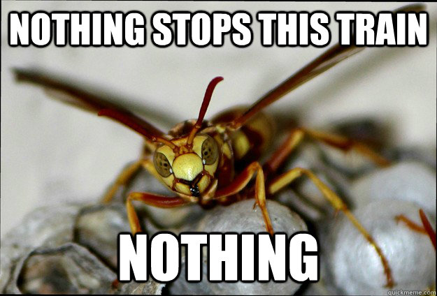 nothing stops this train Nothing  