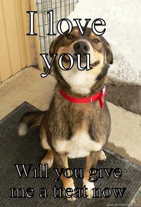 Doogy poos - I LOVE YOU WILL YOU GIVE ME A TREAT NOW Good Dog Greg