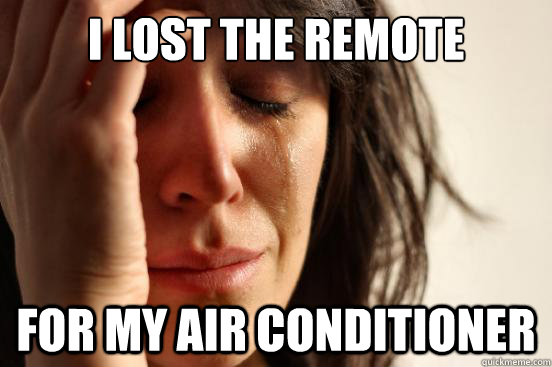 i lost the remote for my air conditioner  First World Problems