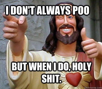 I don't always poo But when I do, holy shit. - I don't always poo But when I do, holy shit.  Approval Jesus
