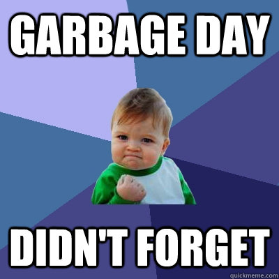 Garbage day didn't forget - Garbage day didn't forget  Success Kid
