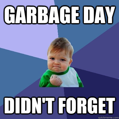 Garbage day didn't forget  Success Kid