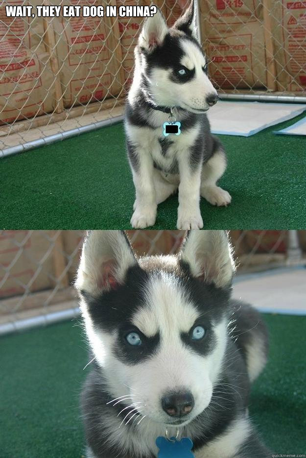wait, they eat dog in china?   Insanity puppy