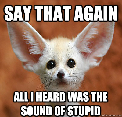 say that again all i heard was the sound of stupid - say that again all i heard was the sound of stupid  Surly Baby Fox