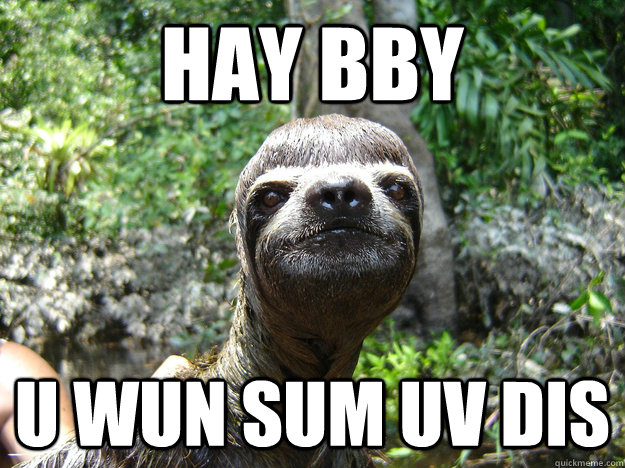 hay bby  u wun sum uv dis  - hay bby  u wun sum uv dis   sloth meme