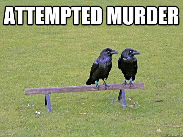 attempted murder   