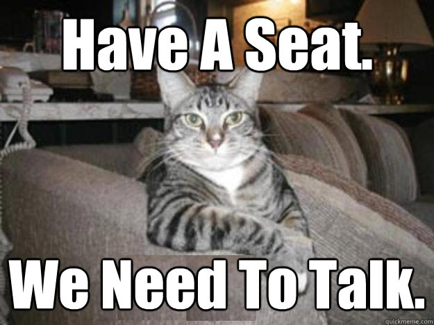 Have A Seat. We Need To Talk.  Serious Cat