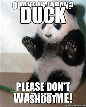 Duck Please don't shoot - Duck Please don't shoot  Plausible deniability panda