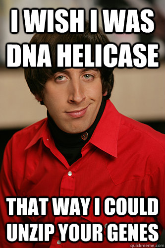 I wish I was DNA Helicase That way I could unzip your genes - I wish I was DNA Helicase That way I could unzip your genes  Howard Wolowitz