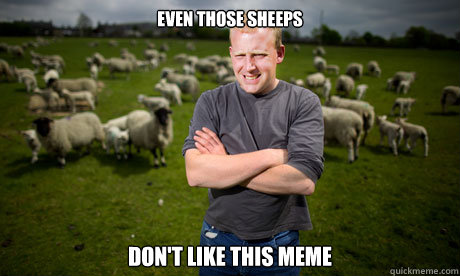 even those sheeps don't like this meme - even those sheeps don't like this meme  Sheep Farmer