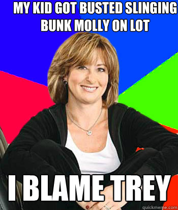 my kid got busted slinging bunk molly on lot i blame trey  Sheltering Suburban Mom