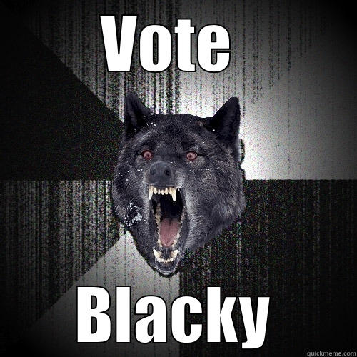 VOTE  BLACKY Insanity Wolf