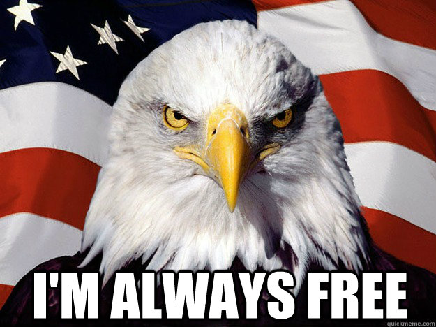  I'm always free  Patriotic Eagle