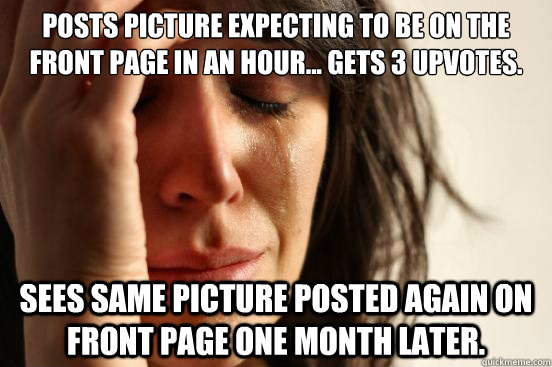 Posts picture expecting to be on the front page in an hour... Gets 3 upvotes. Sees same picture posted again on front page one month later.  First World Problems