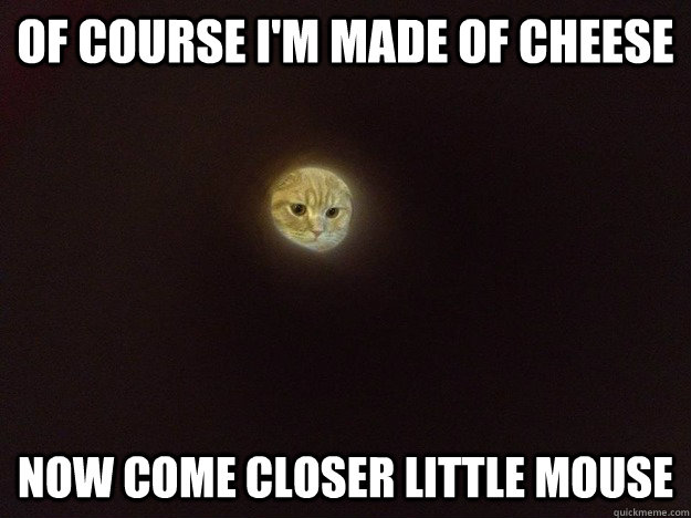 Of course I'm made of cheese Now come closer little mouse - Of course I'm made of cheese Now come closer little mouse  Moon Cat