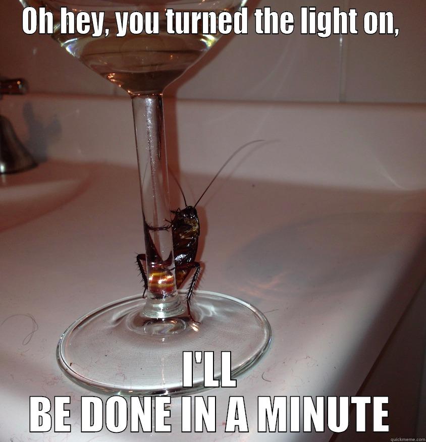 OH HEY, YOU TURNED THE LIGHT ON, I'LL BE DONE IN A MINUTE Misc