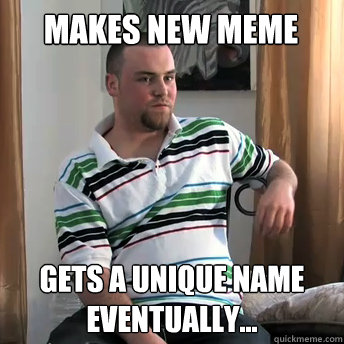 MAKES NEW MEME Gets a unique name eventually...  Okay Guy Steve