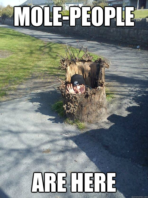 MOLE-PEOPLE ARE HERE - MOLE-PEOPLE ARE HERE  Couzin Matt