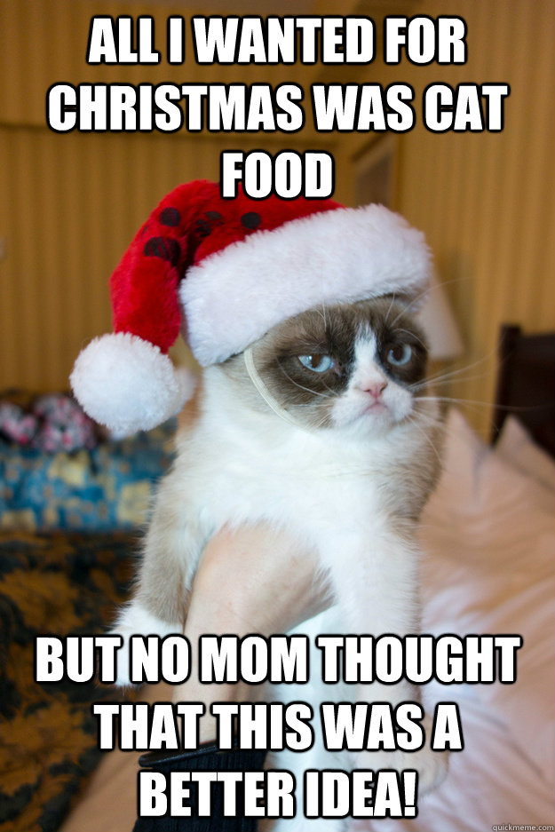 all i wanted for christmas was cat food but no mom thought that this was a better idea! - all i wanted for christmas was cat food but no mom thought that this was a better idea!  Grumpy xmas