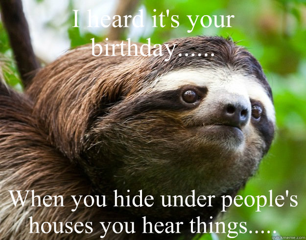 I heard it's your birthday...... When you hide under people's houses you hear things..... - I heard it's your birthday...... When you hide under people's houses you hear things.....  happy birthday sloth