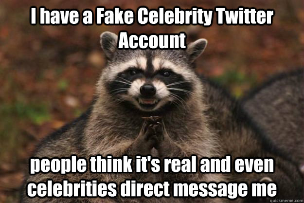 I have a Fake Celebrity Twitter Account people think it's real and even celebrities direct message me  Evil Plotting Raccoon