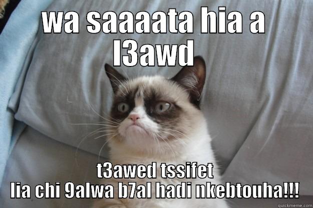 WA SAAAATA HIA A L3AWD T3AWED TSSIFET LIA CHI 9ALWA B7AL HADI NKEBTOUHA!!! Grumpy Cat