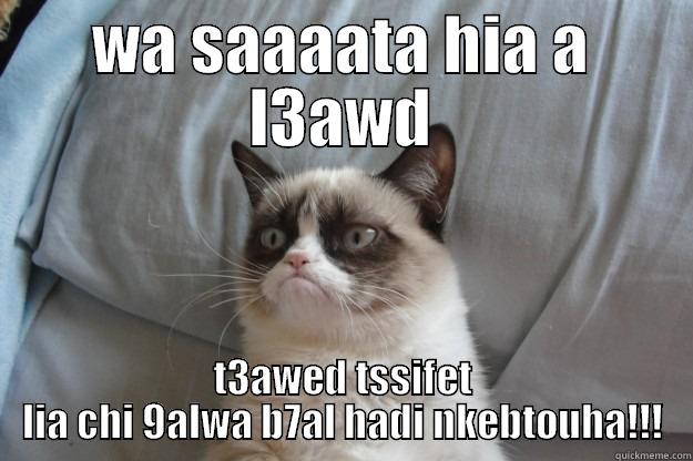 allahouma inni 9ad 7addart - WA SAAAATA HIA A L3AWD T3AWED TSSIFET LIA CHI 9ALWA B7AL HADI NKEBTOUHA!!! Grumpy Cat