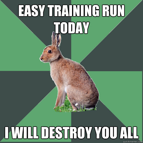 Easy training run today I will destroy you all - Easy training run today I will destroy you all  Harrier Hare