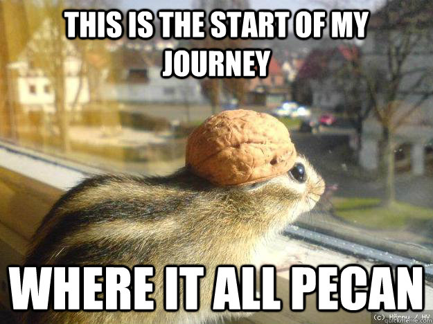 This is the start of my journey where it all pecan  