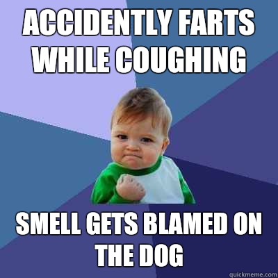 Accidently farts while coughing Smell gets blamed on the dog  Success Kid