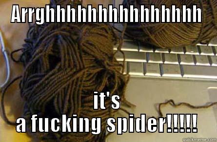 ARRGHHHHHHHHHHHHHHH IT'S A FUCKING SPIDER!!!!! Misc