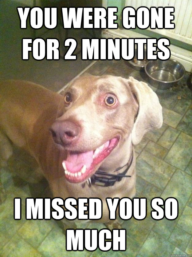 You were gone for 2 minutes i missed you so much - You were gone for 2 minutes i missed you so much  Overly Attached Dog